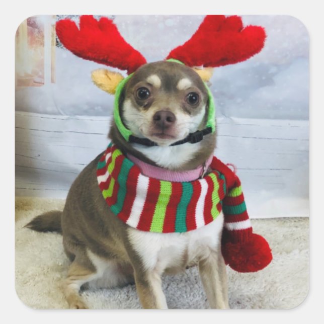 Huey Holiday Fail Square Sticker (Front)