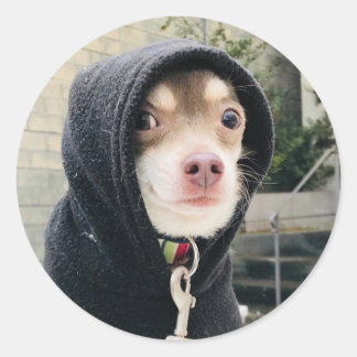 Huey in Disguise Stickers!! Classic Round Sticker