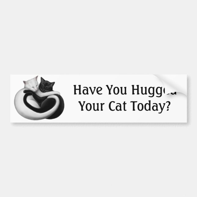 Hug a Cat Bumper Sticker (Front)