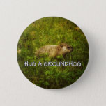 Hug a groundhog button