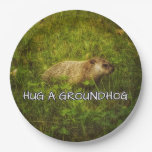 Hug a groundhog plates