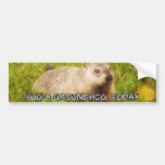 Hug a groundhog today bumper sticker