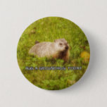 Hug a groundhog today button