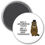Hug a groundhog today. Get a rabies shot tomorrow. Magnet