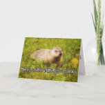 Hug a groundhog today greeting card
