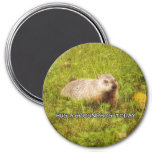 Hug a groundhog today magnet