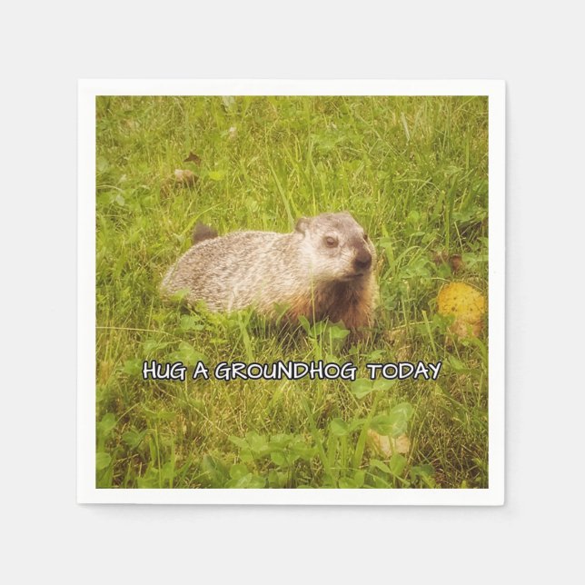 Hug a groundhog today napkins (Front)