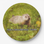 Hug a groundhog today plates