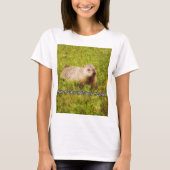 Hug a groundhog today t-shirt (Front)