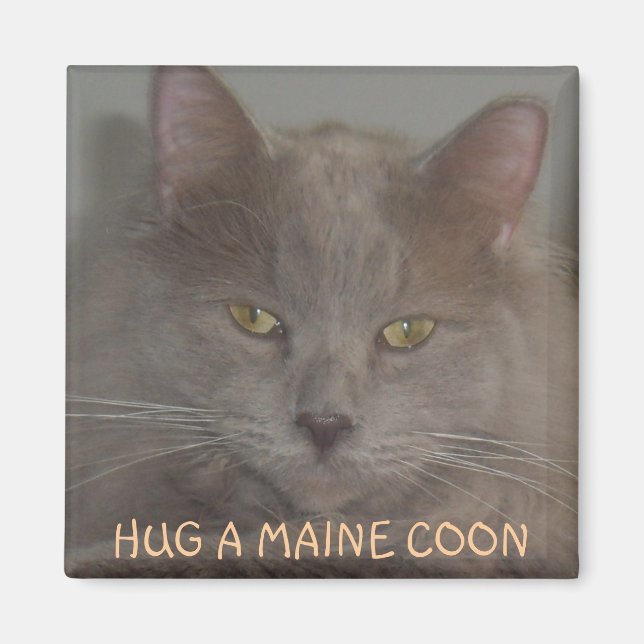 HUG A MAINE COON MAGNET (Front)