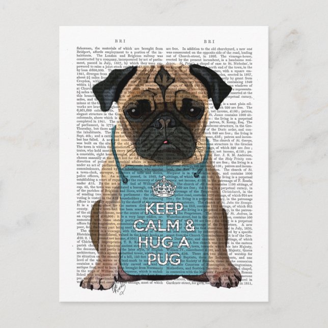 Hug a Pug Postcard (Front)