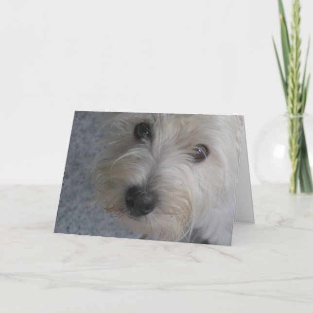 Hug Me - Card (Front)