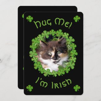 Hug Me I’m Irish Kitten