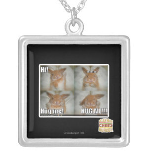 Hug me silver plated necklace