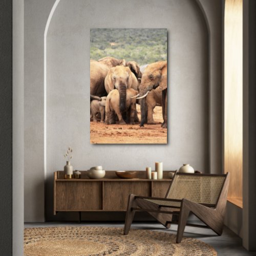 Hug the little elephant canvas framed