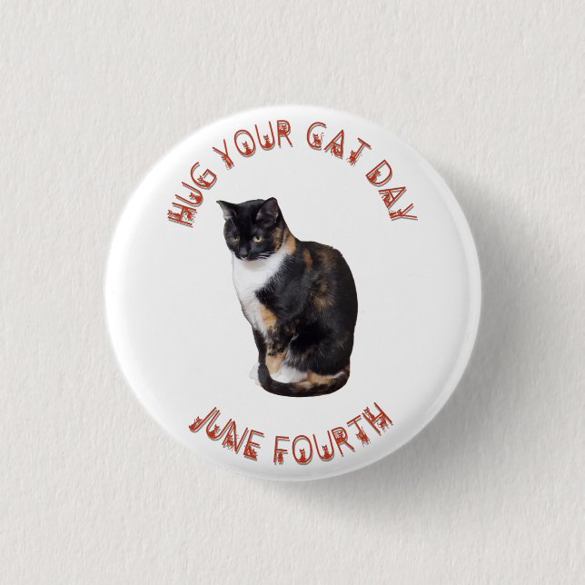 Hug Your Cat Day June 4th  Button (Front)