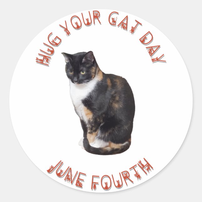 Hug Your Cat Day June 4th  Classic Round Sticker (Front)
