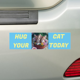 Hug Your Cat Today Bumper Sticker