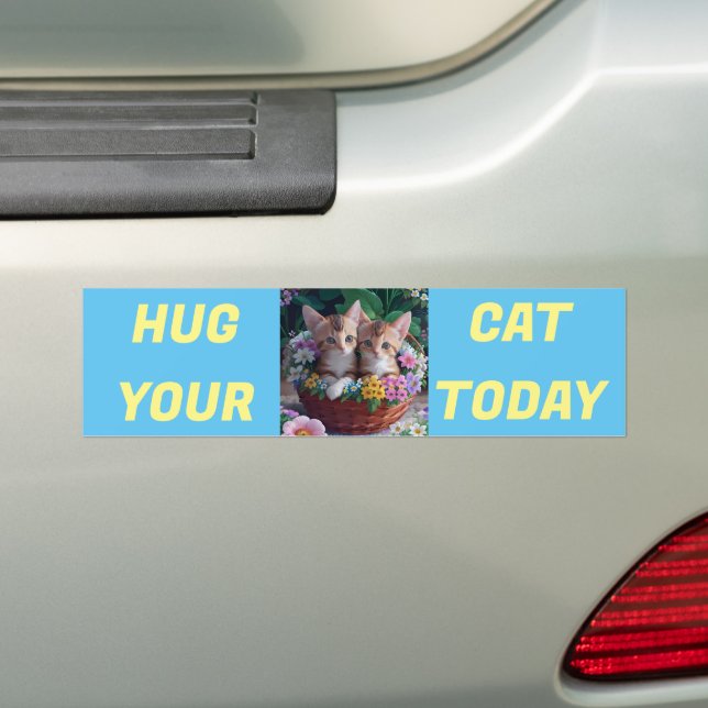 Hug Your Cat Today Bumper Sticker (On Car)