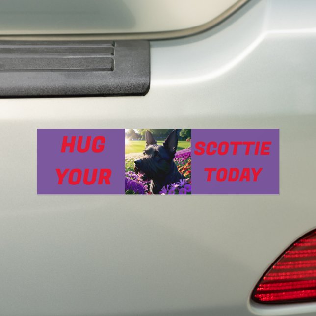 Hug Your Scottie Today Bumper Sticker (On Car)
