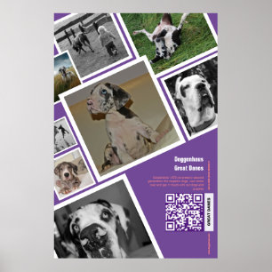 Huge dog selling poster