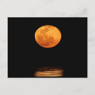 Huge Full Moon   South Padre Island, Texas Postcard