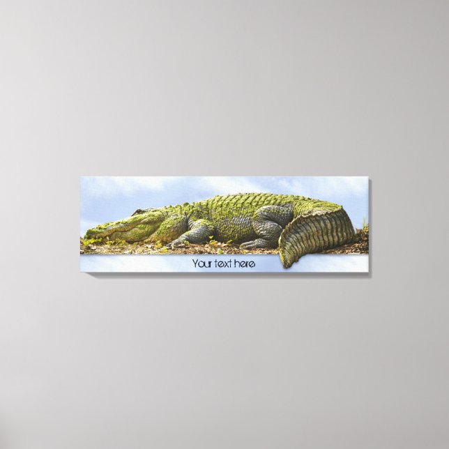 Huge Gator Panoramic Nature Photography OOB Effect Canvas Print (Front)