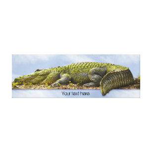 Huge Gator Panoramic Nature Photography OOB Effect Canvas Print