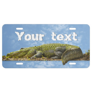 Huge Gator Panoramic Photography Your Text License Plate