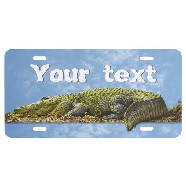 Huge Gator Panoramic Photography Your Text License Plate (Front)