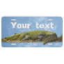 Huge Gator Panoramic Photography Your Text License Plate