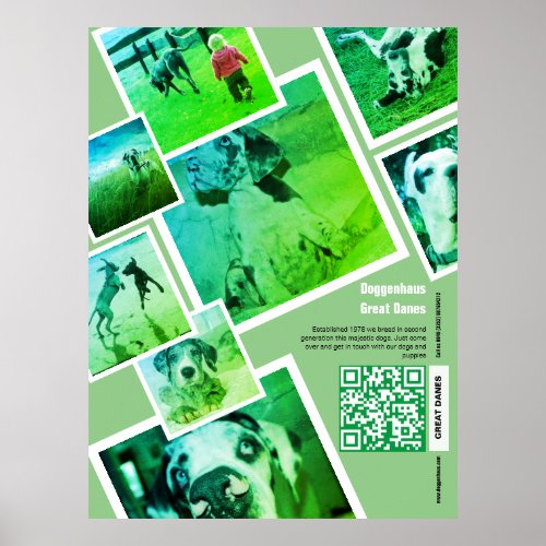 Huge Great Dane Kennel Promotion  Poster
