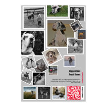 Huge Great Dane Puppy to sell