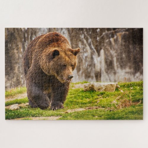 Huge Grizzly Bear In The Wild Animal Jigsaw Puzzle