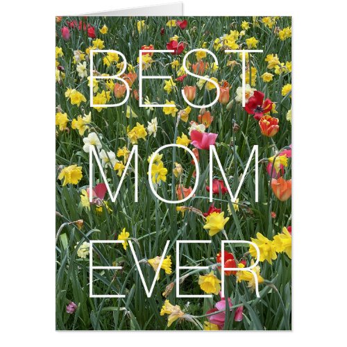 Huge Happy Mothers Day Card Daffodil Tulip Floral