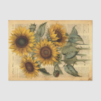 Huge Happy Vintage Sunflowers on Parchment Tissue Paper