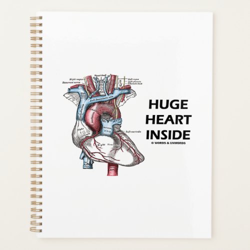 Huge Heart Inside Human Heart Anatomy Diagram Planner