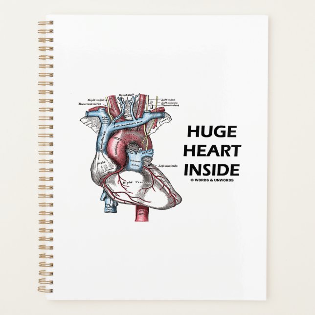 Huge Heart Inside Human Heart Anatomy Diagram Planner (Front)
