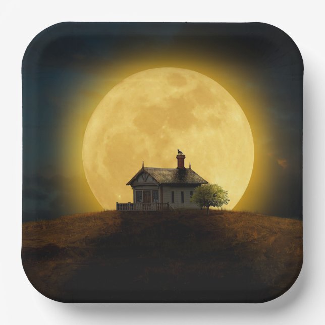 Huge Moon Paper Plates (Front)