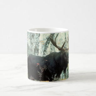 Huge Moose Coffee Mug
