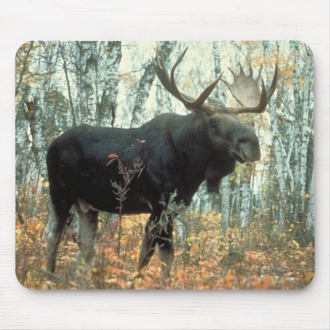 Huge Moose Mouse Pad (Front)