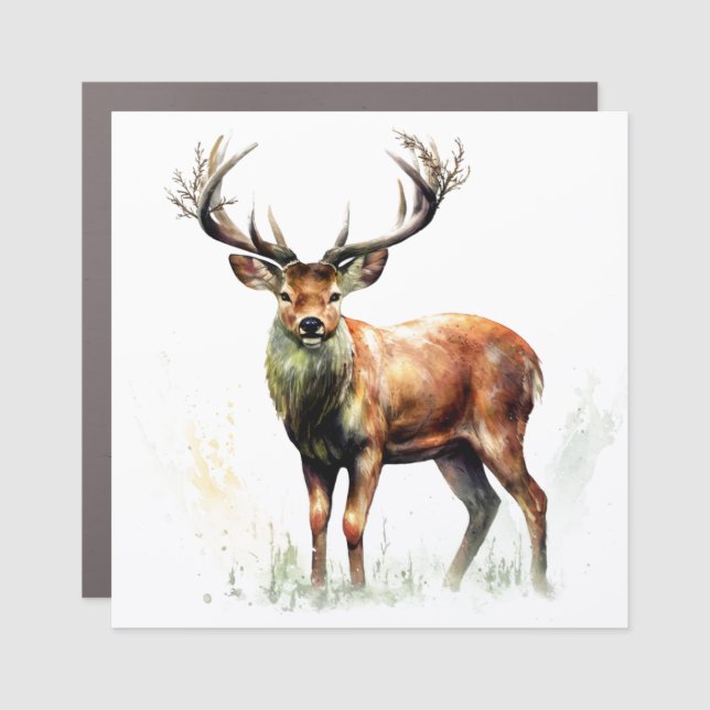 Huge Racked Deer  Car Magnet (Front)