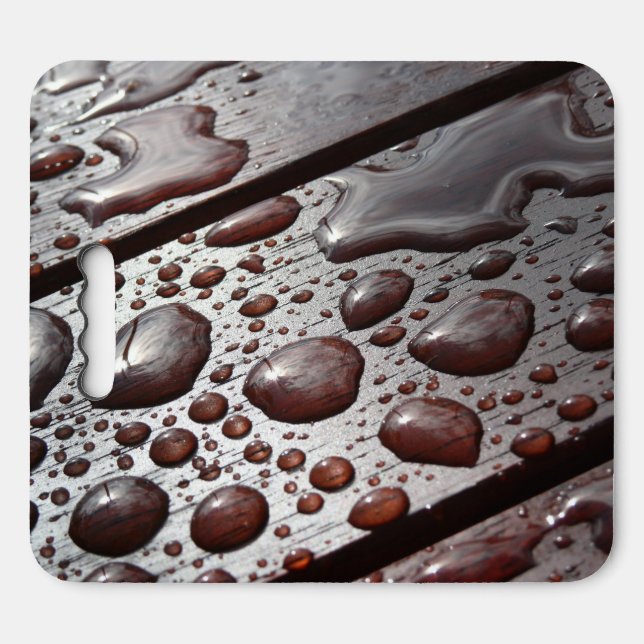 Huge Raindrops on a Picnic Table Seat Cushion (Front Horizontal)