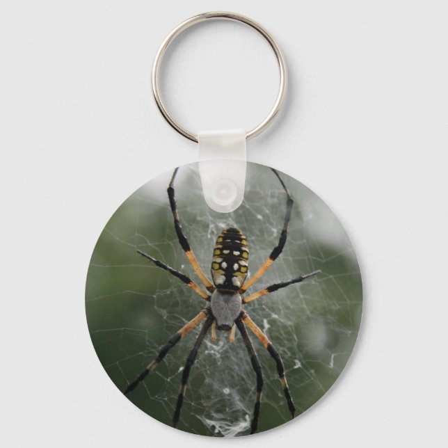 Huge Spider / Yellow & Black Argiope Keychain (Front)