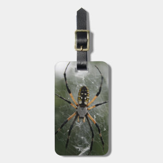 Huge Spider / Yellow & Black Argiope Luggage Tag