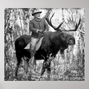 Huge Teddy Roosevelt Riding A Bull Moose Poster