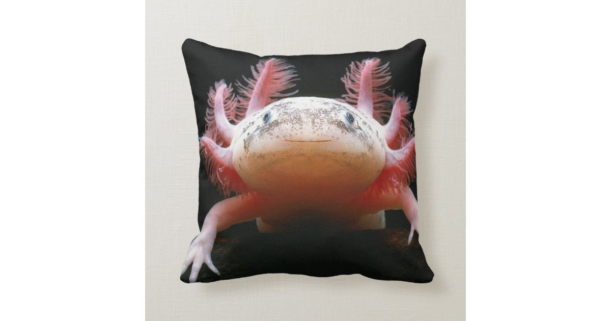 axolotl pillow pet