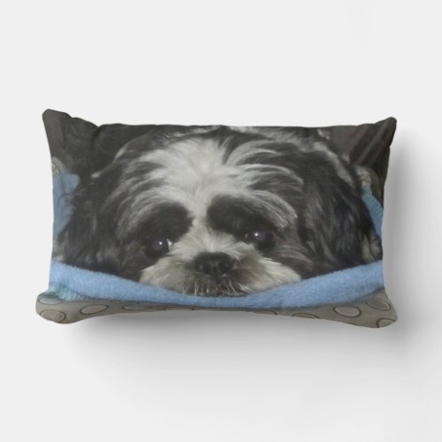 Huggable Shih Tzu Puppy Pillow
