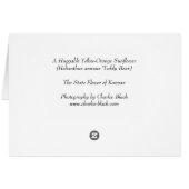 Huggable Sunflower Cards (Back Horizontal)