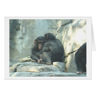 Huggin Chmps Cards